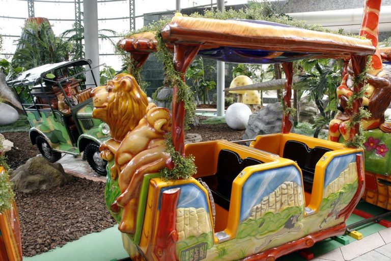 Safari Train