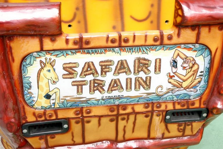 Safari Train