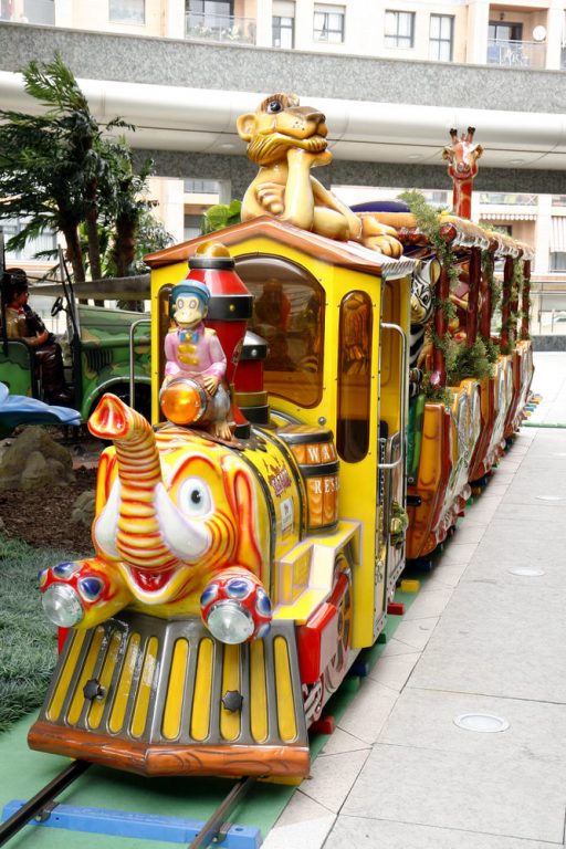 Safari Train